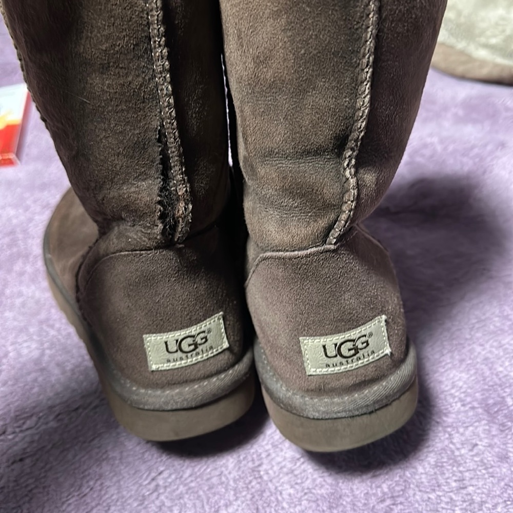 Uggs chocolate brown